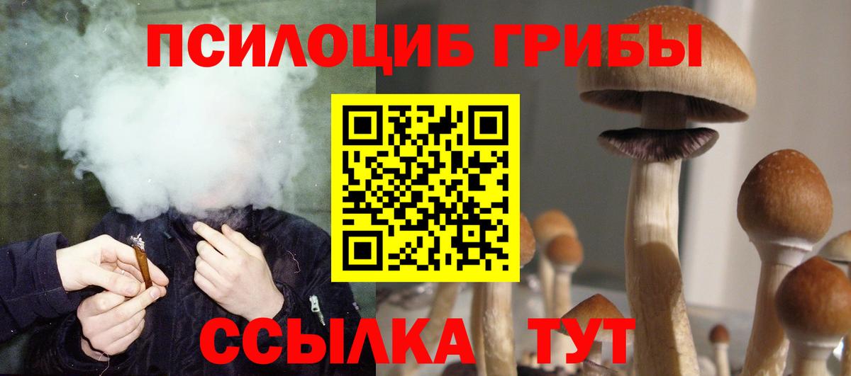 Галлюциногенные грибы MAGIC MUSHROOMS  Вход с VPN  Елабуга  Псилоцибиновые грибы мухоморы 